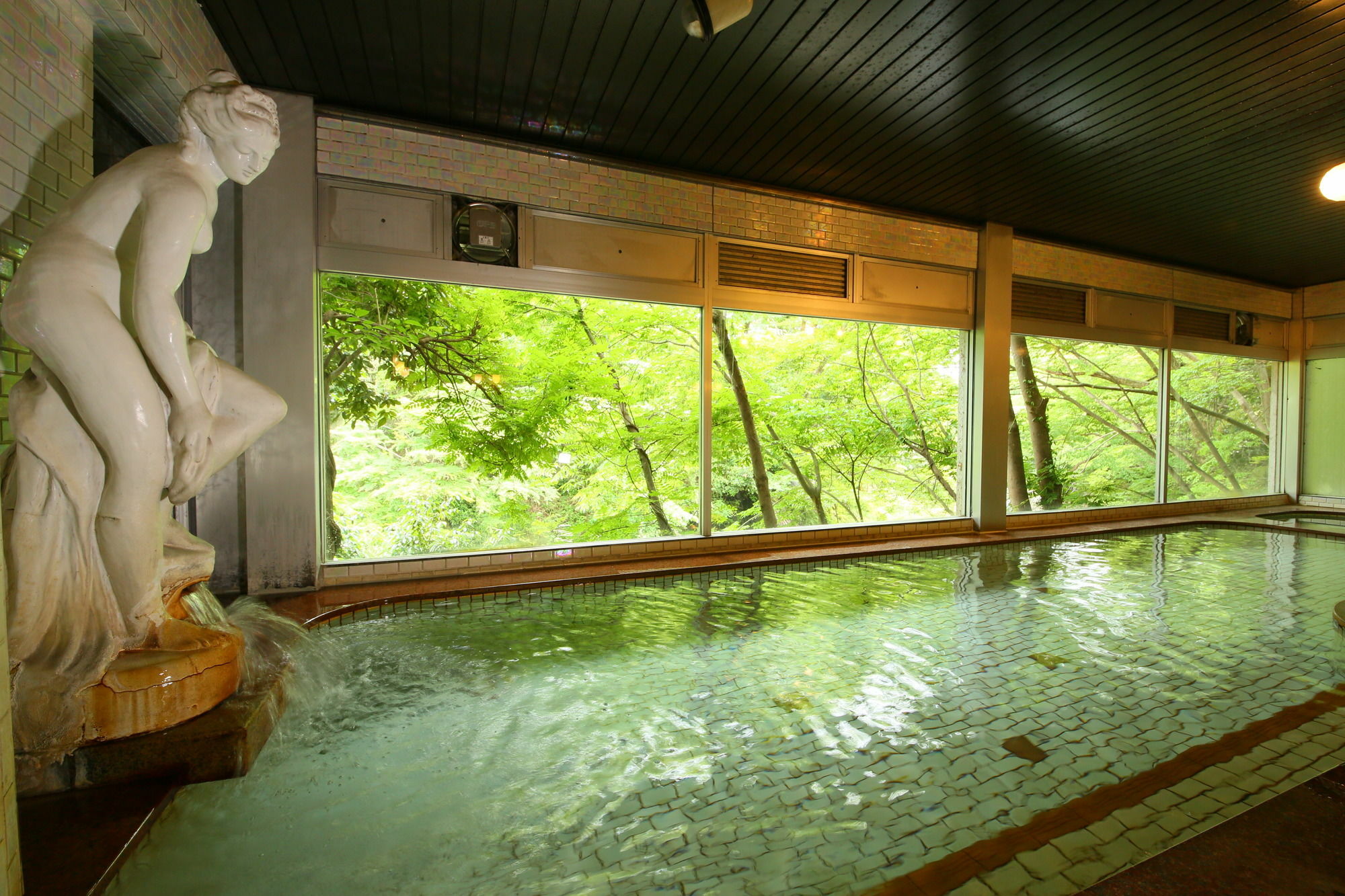 Hotel Miyama Chichibu Esterno foto